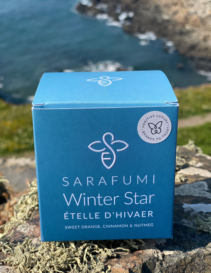 Winter Star | Ételle d'Hivaer