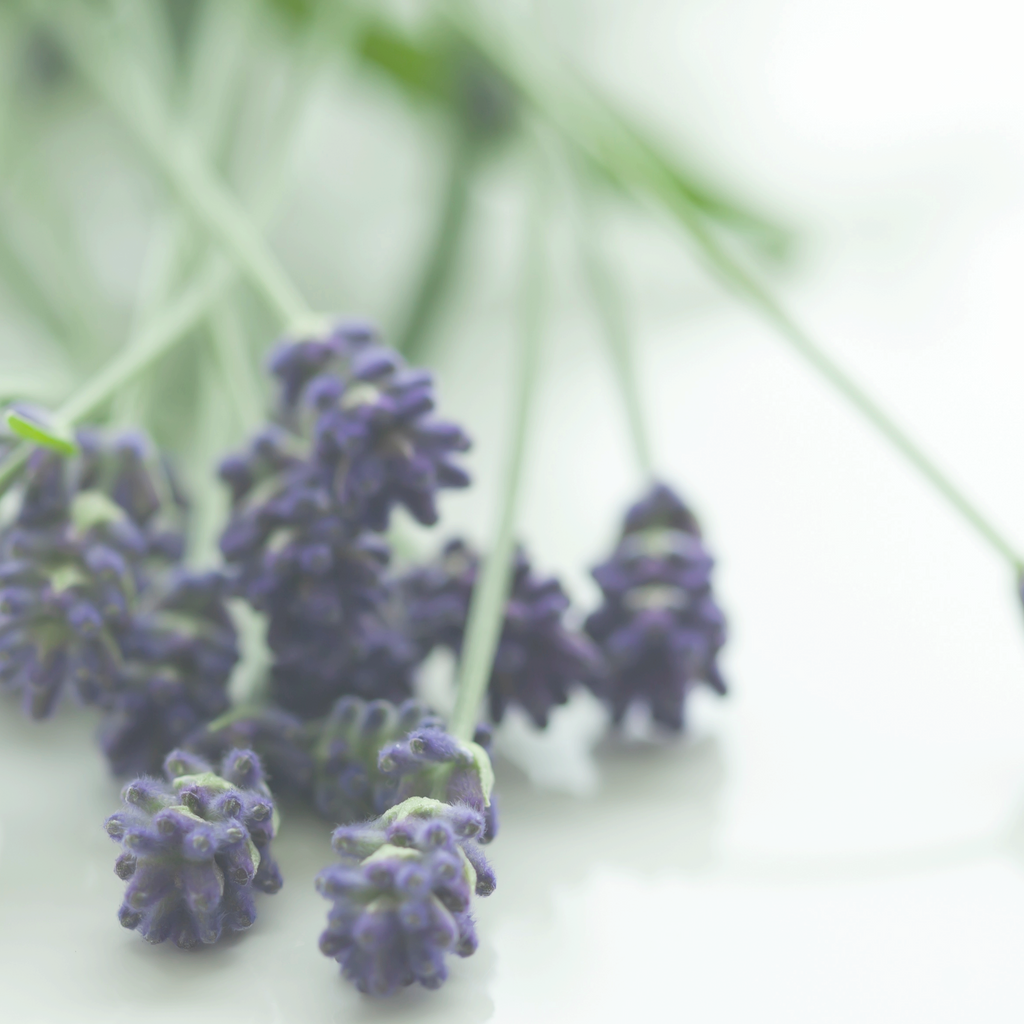 Just Breathe | Locque Respiraï